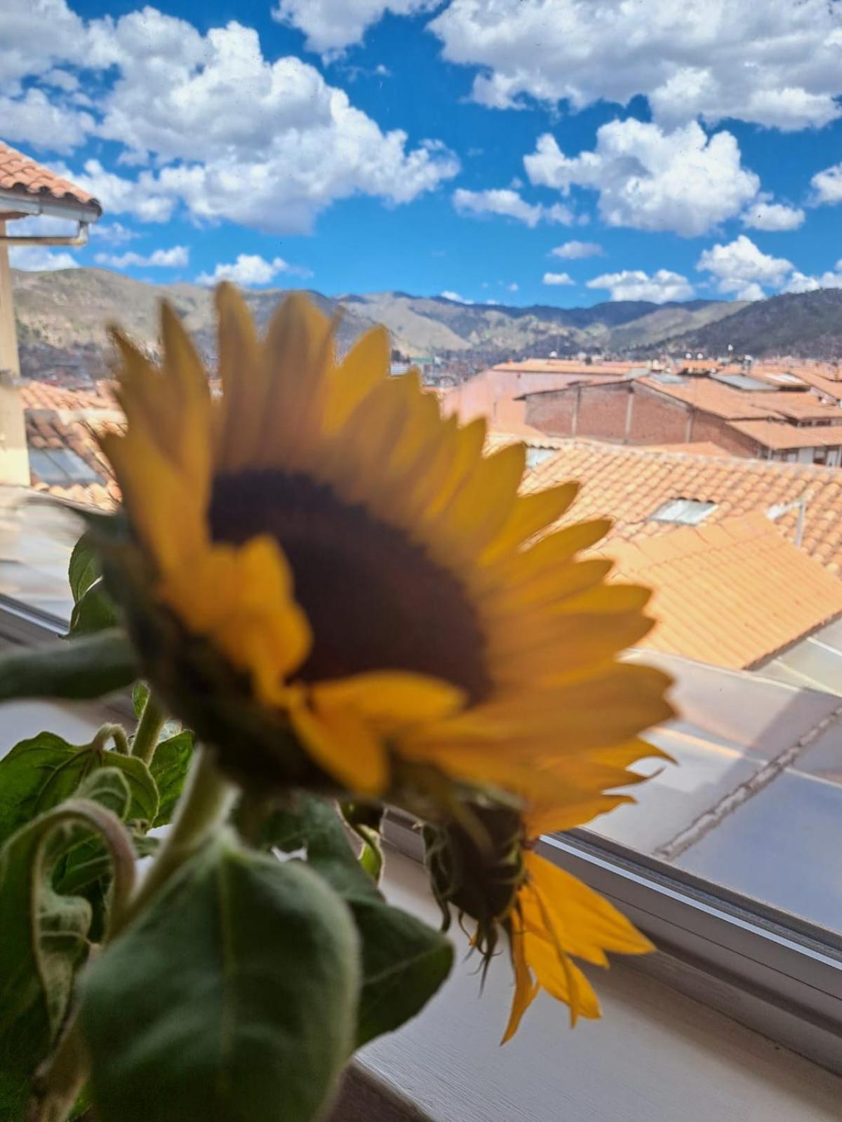 Hotel Suenos Del Inka Cusco Eksteriør billede